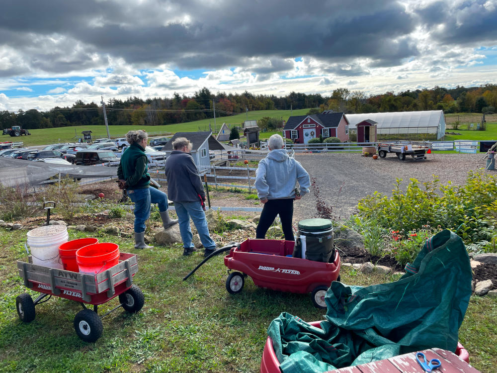 garden-volunteers