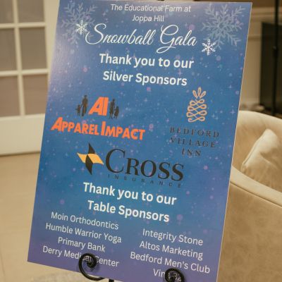 7 Snowball sponsor