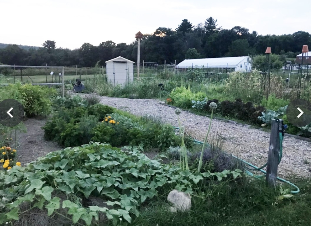 community garden at Joppa Hill Educational Farm