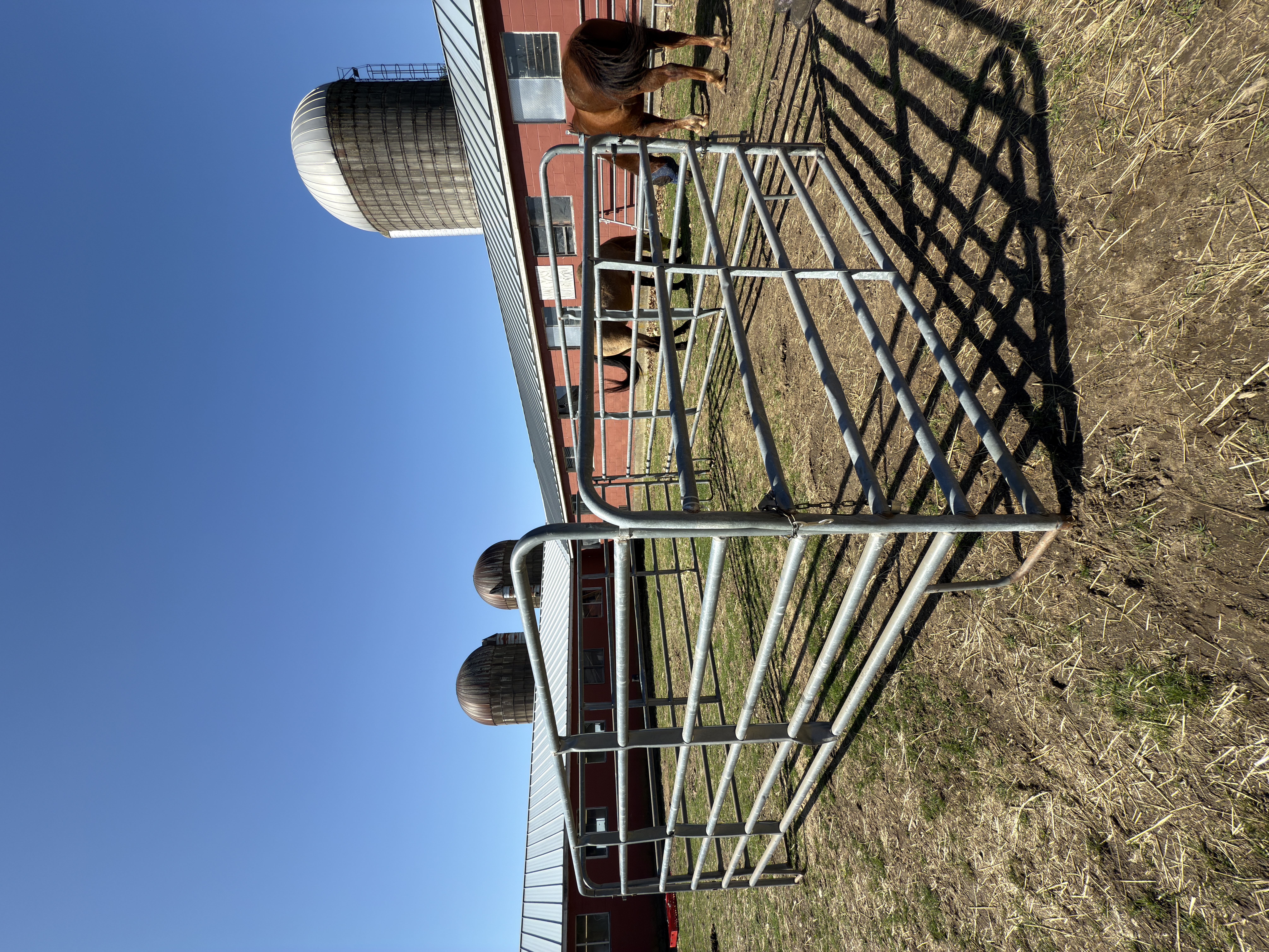 Feed pen Dundee