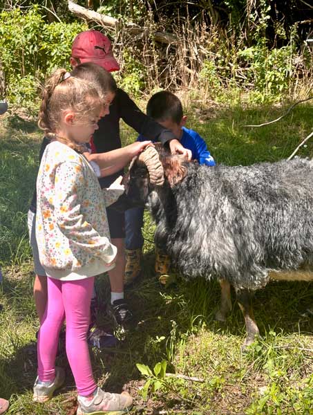 campers-petting-Curly