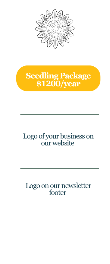 Orange and Black Modern Sponsorship Proposal