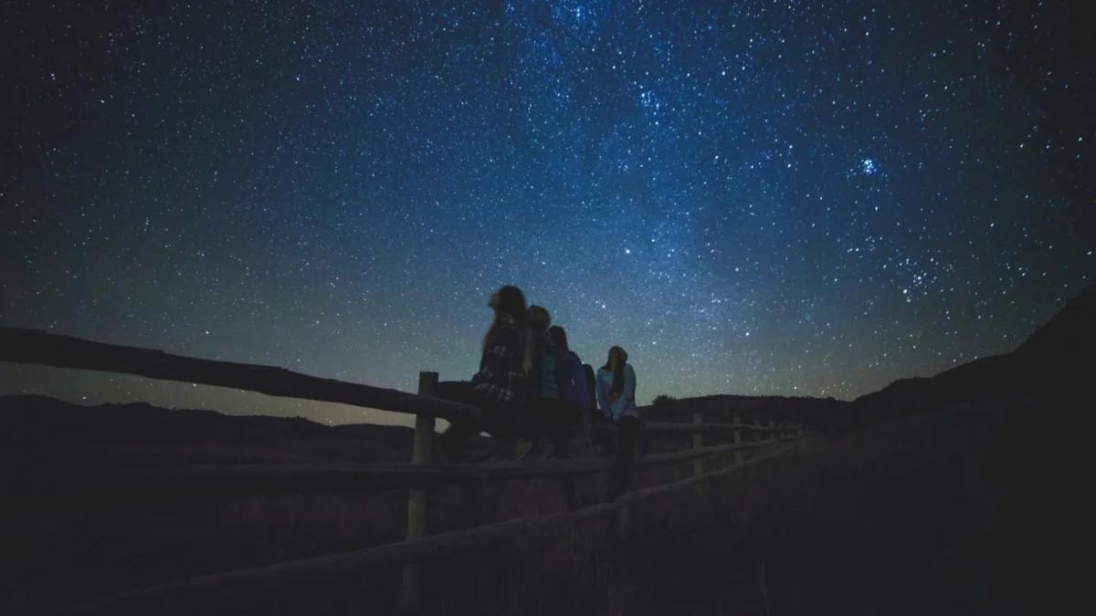 Out and about on the farm