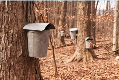 valentines-day-birdseed-hangers