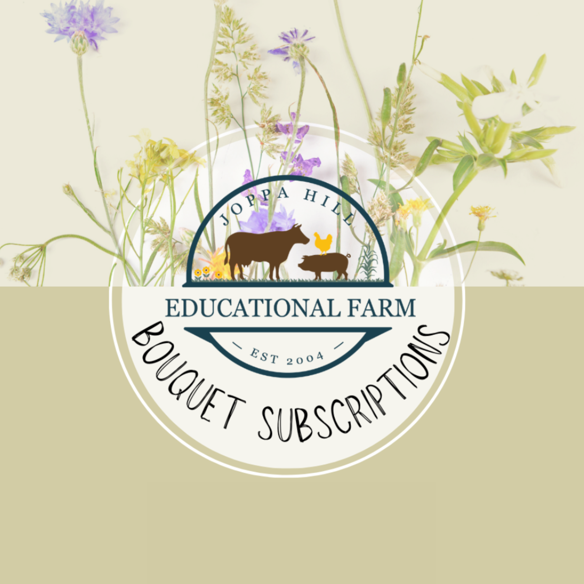 community garden at Joppa Hill Educational Farm