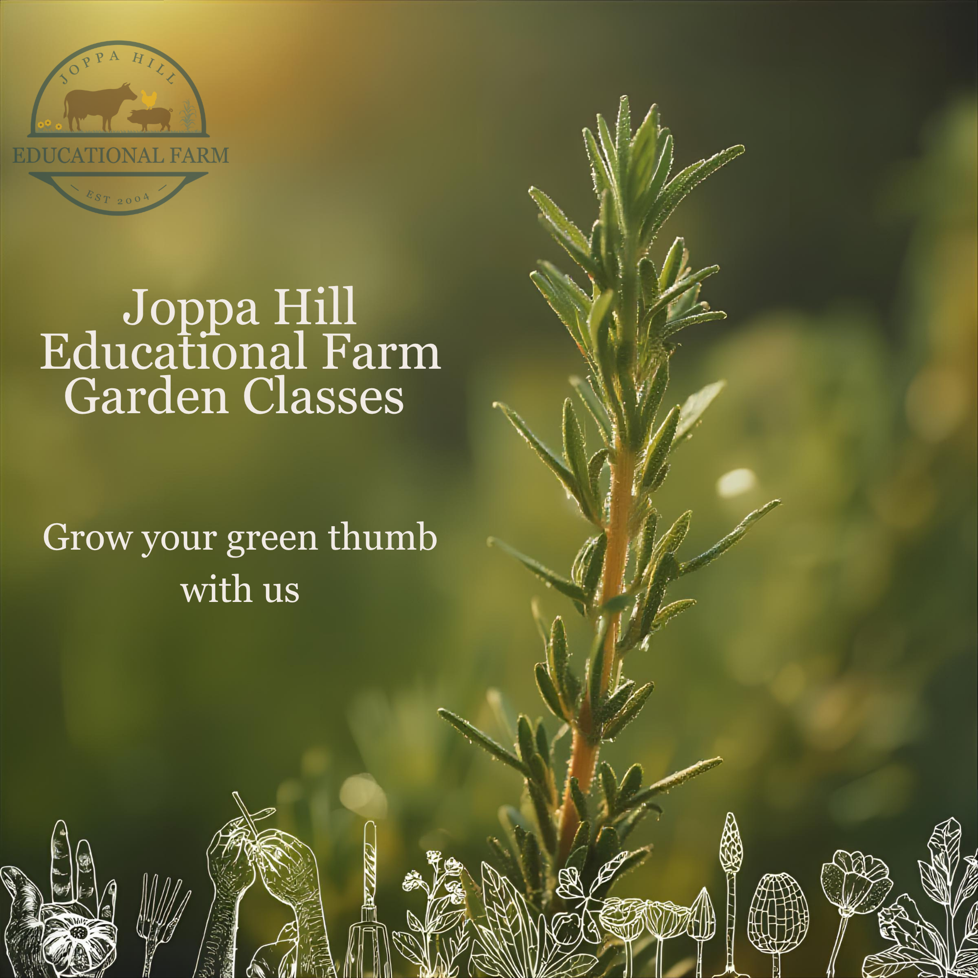 valentines-day-birdseed-hangers