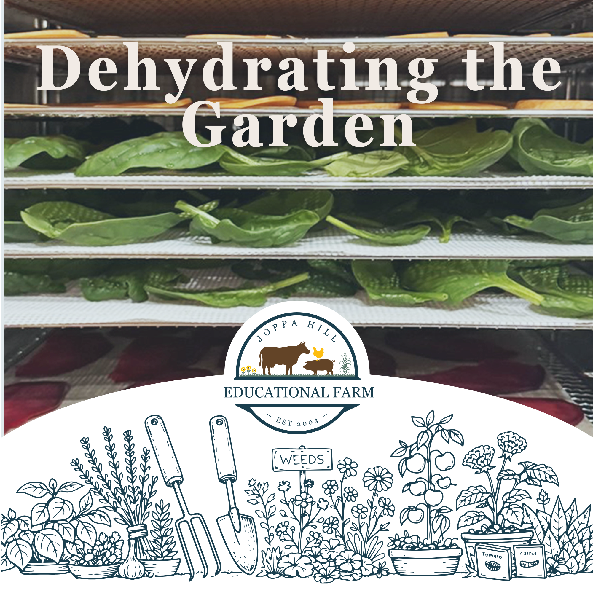 valentines-day-birdseed-hangers