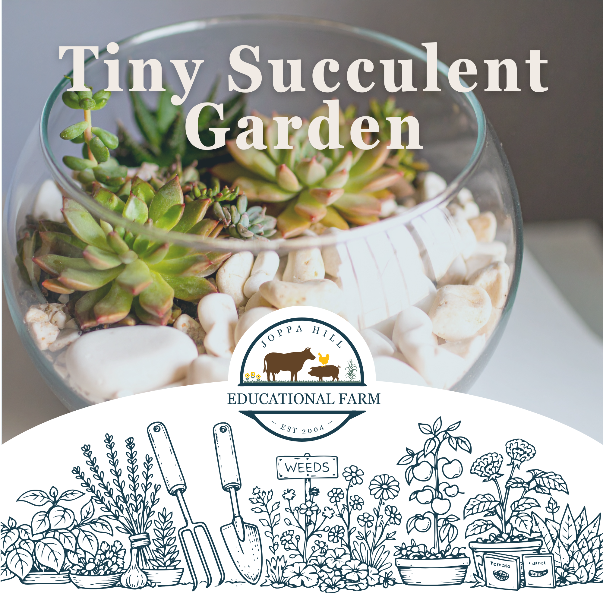 valentines-day-birdseed-hangers