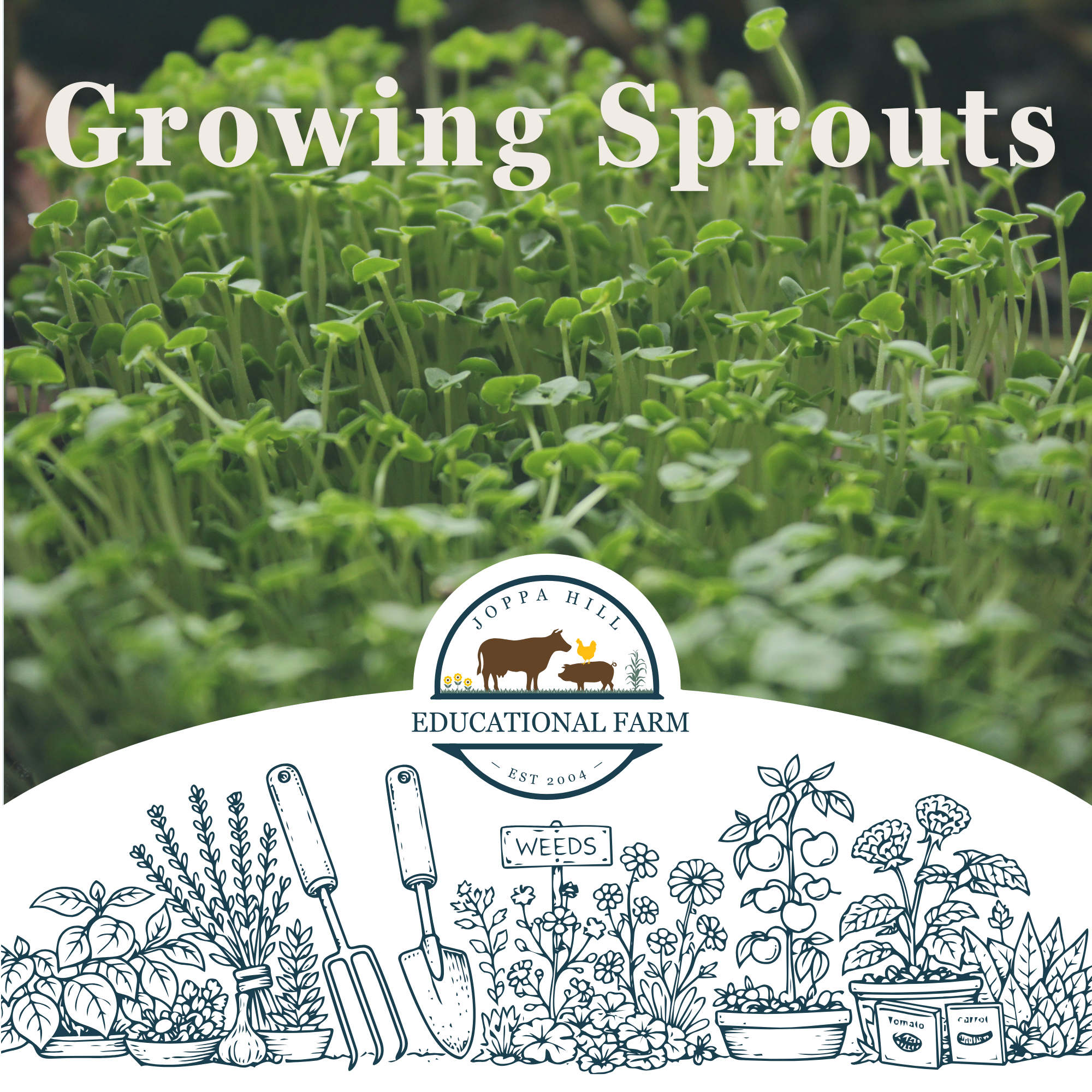 valentines-day-birdseed-hangers