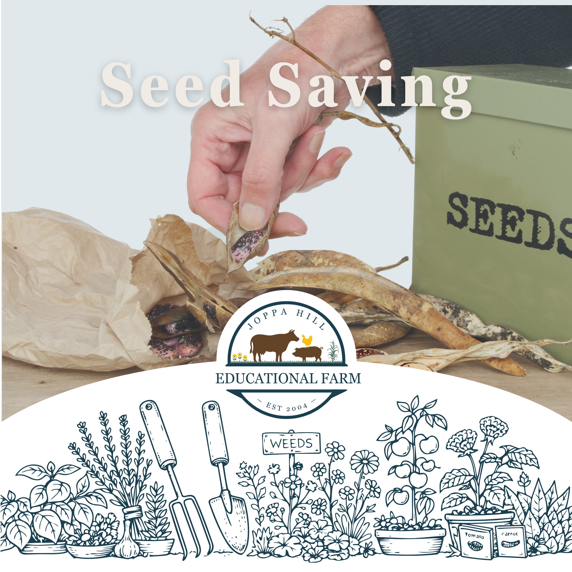 valentines-day-birdseed-hangers