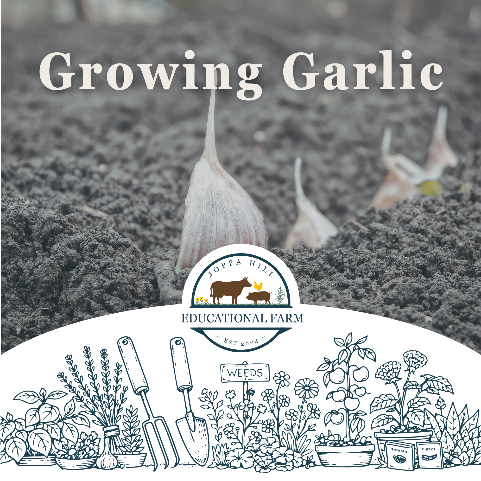 valentines-day-birdseed-hangers