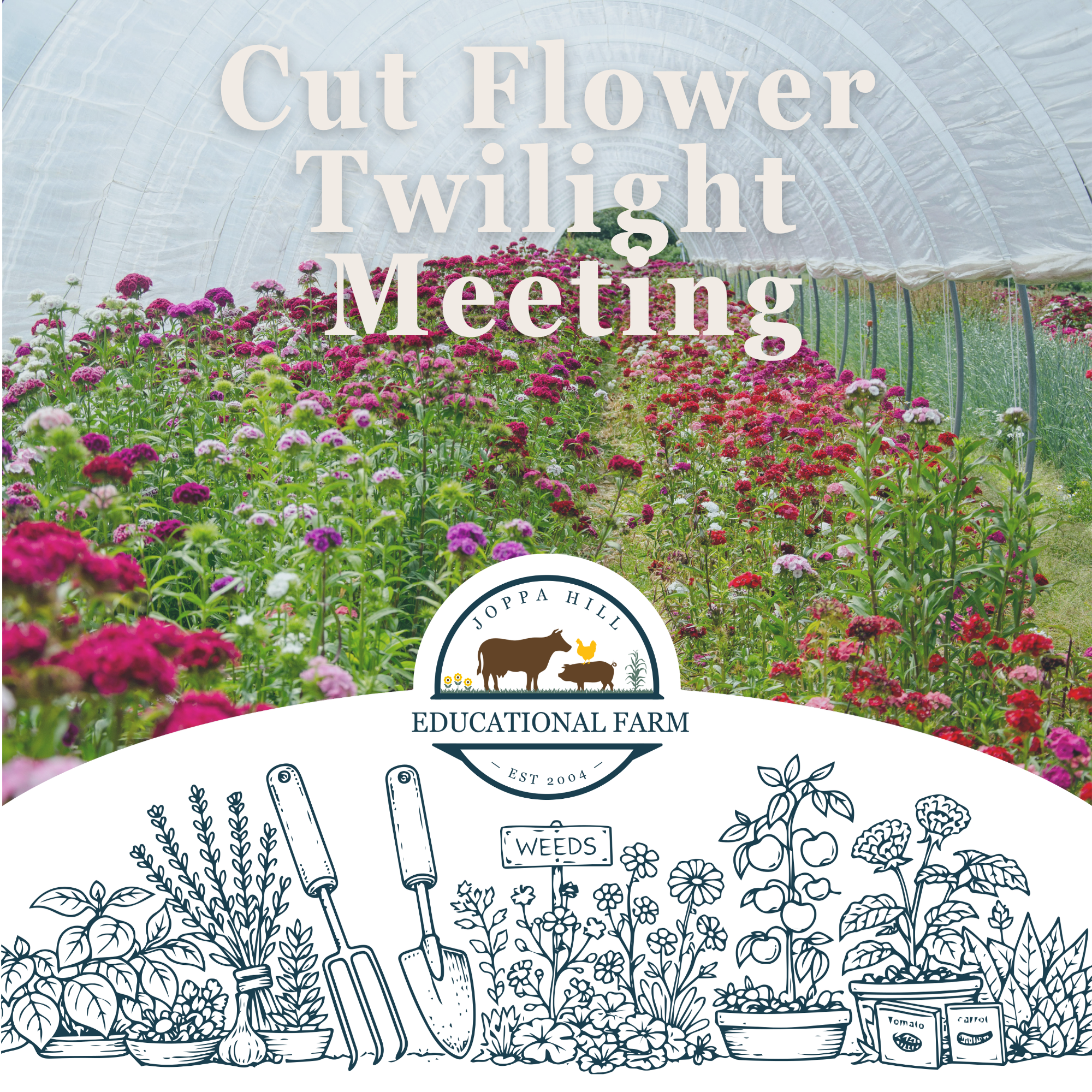 valentines-day-birdseed-hangers