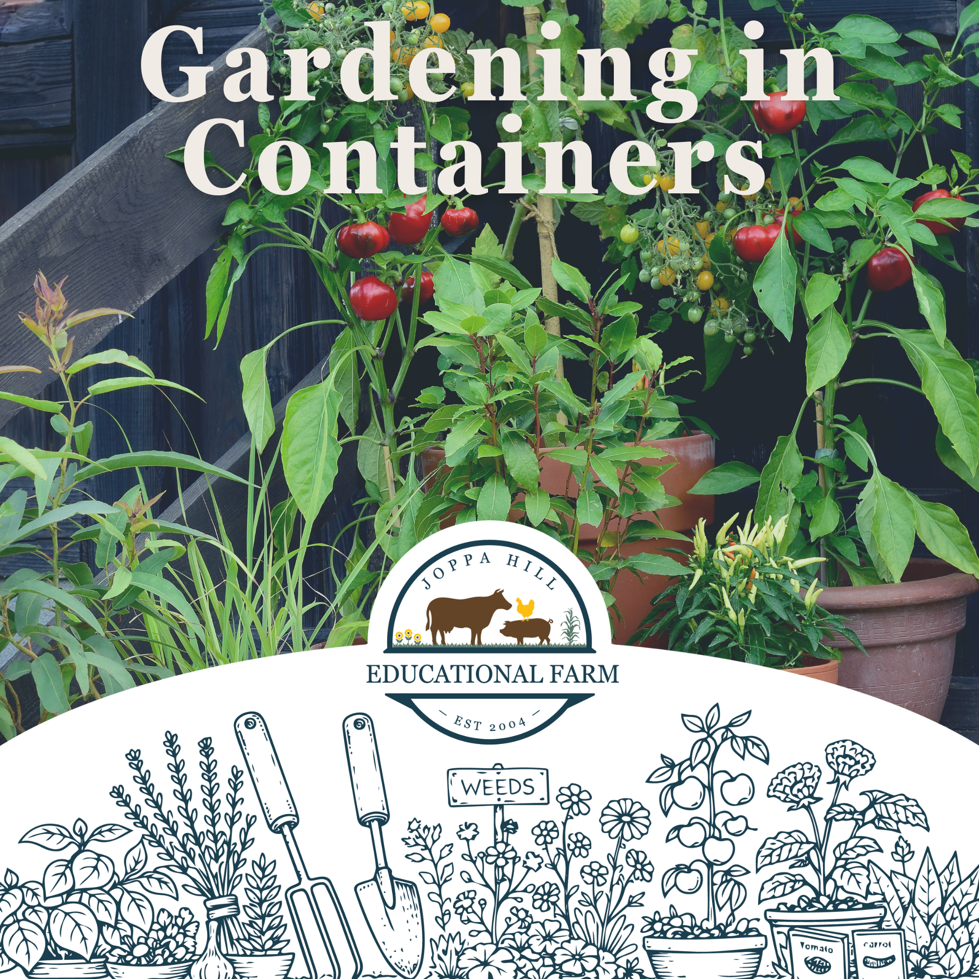 valentines-day-birdseed-hangers