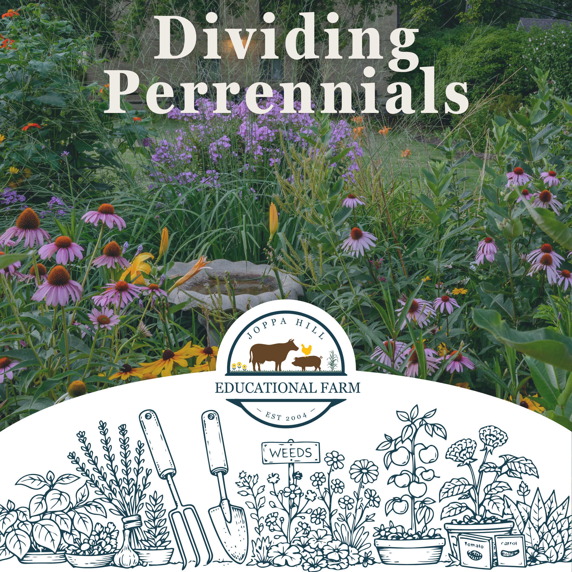 valentines-day-birdseed-hangers