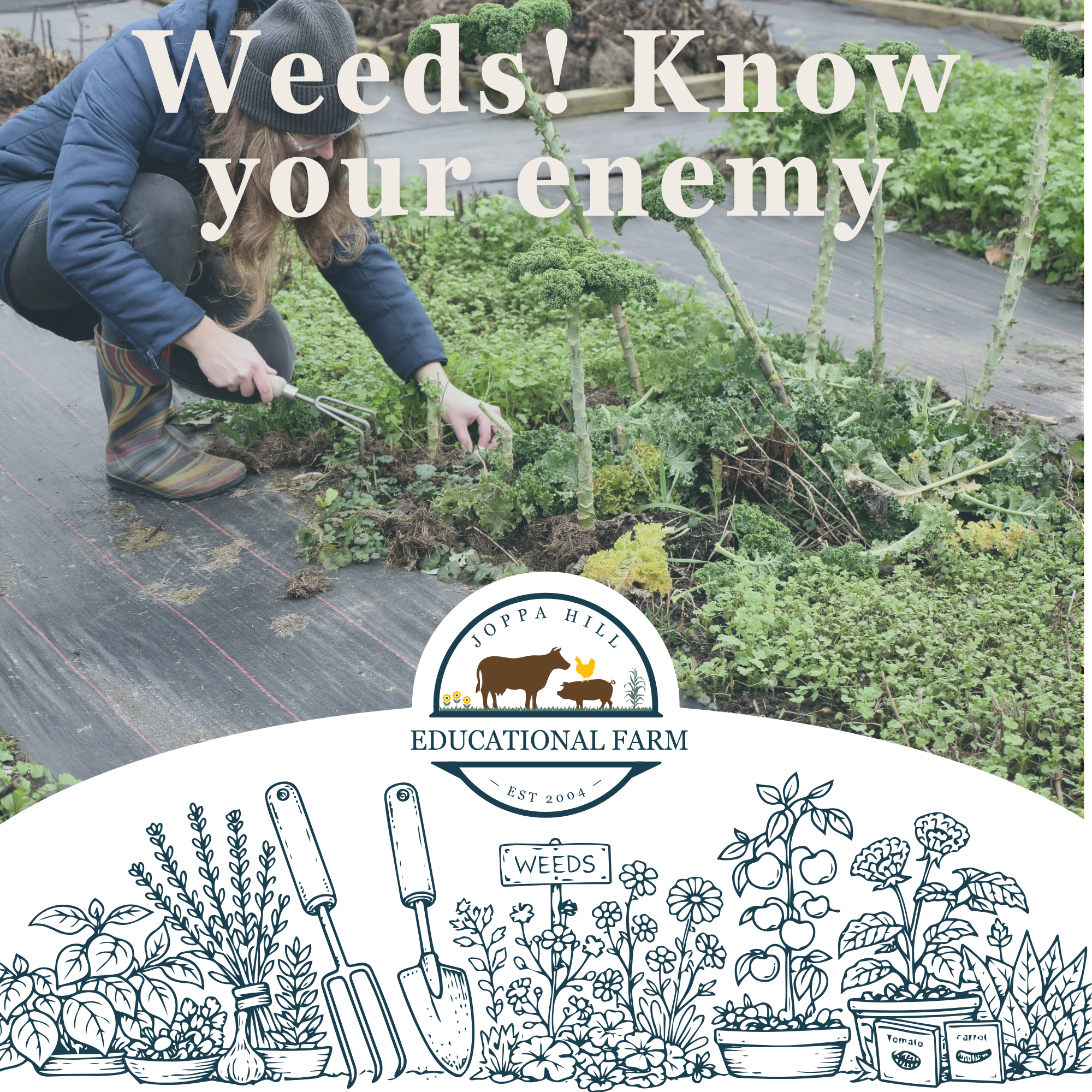 valentines-day-birdseed-hangers