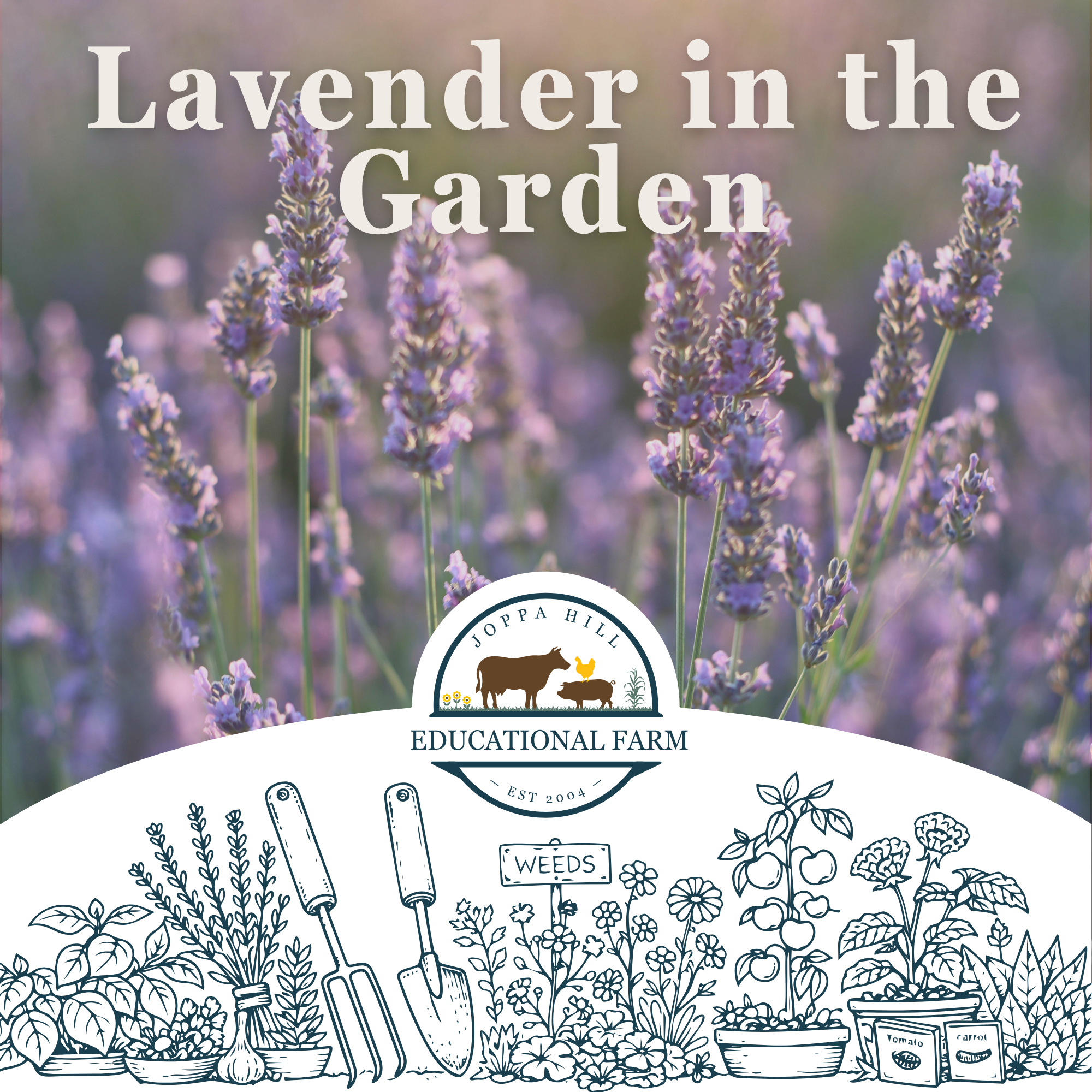 valentines-day-birdseed-hangers