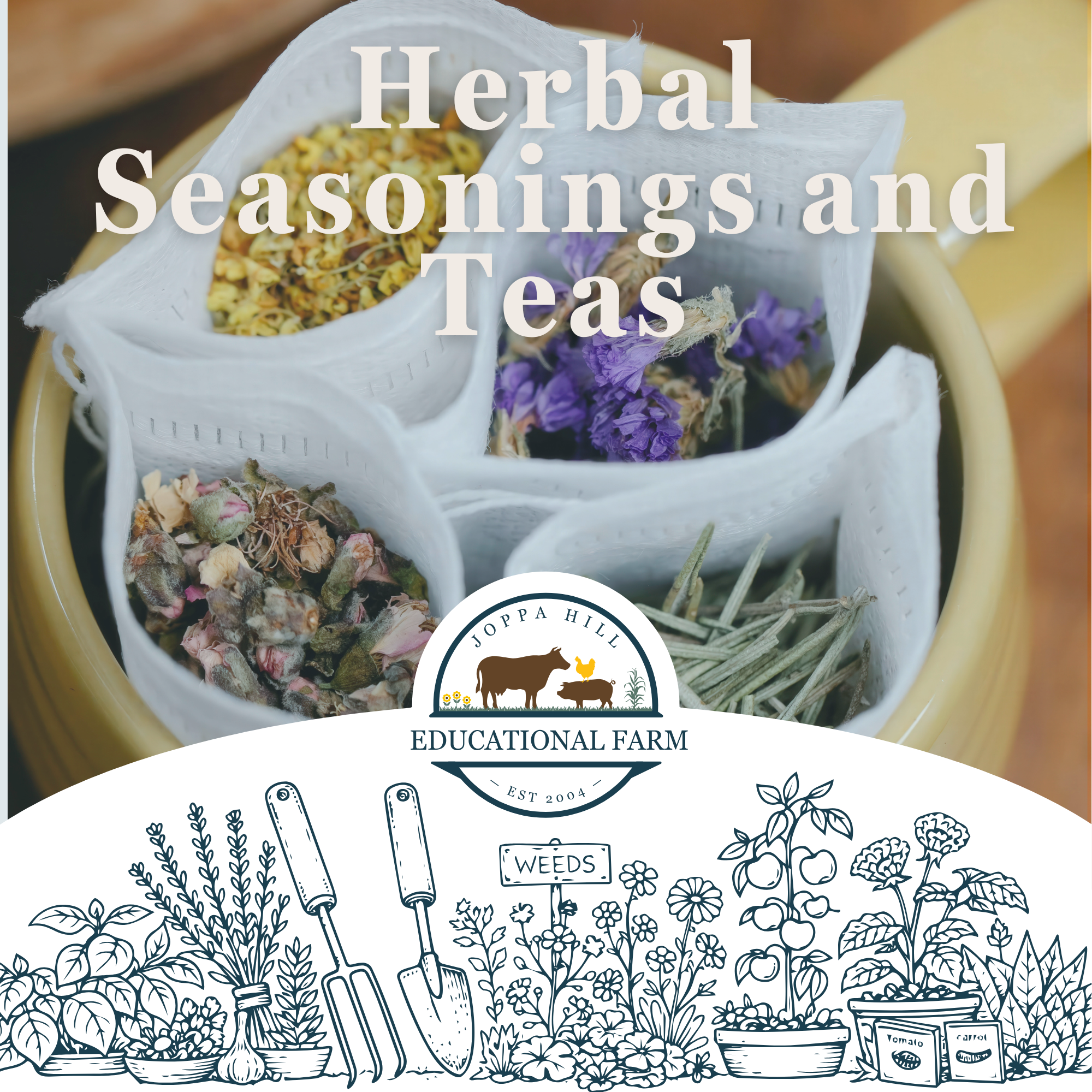 valentines-day-birdseed-hangers