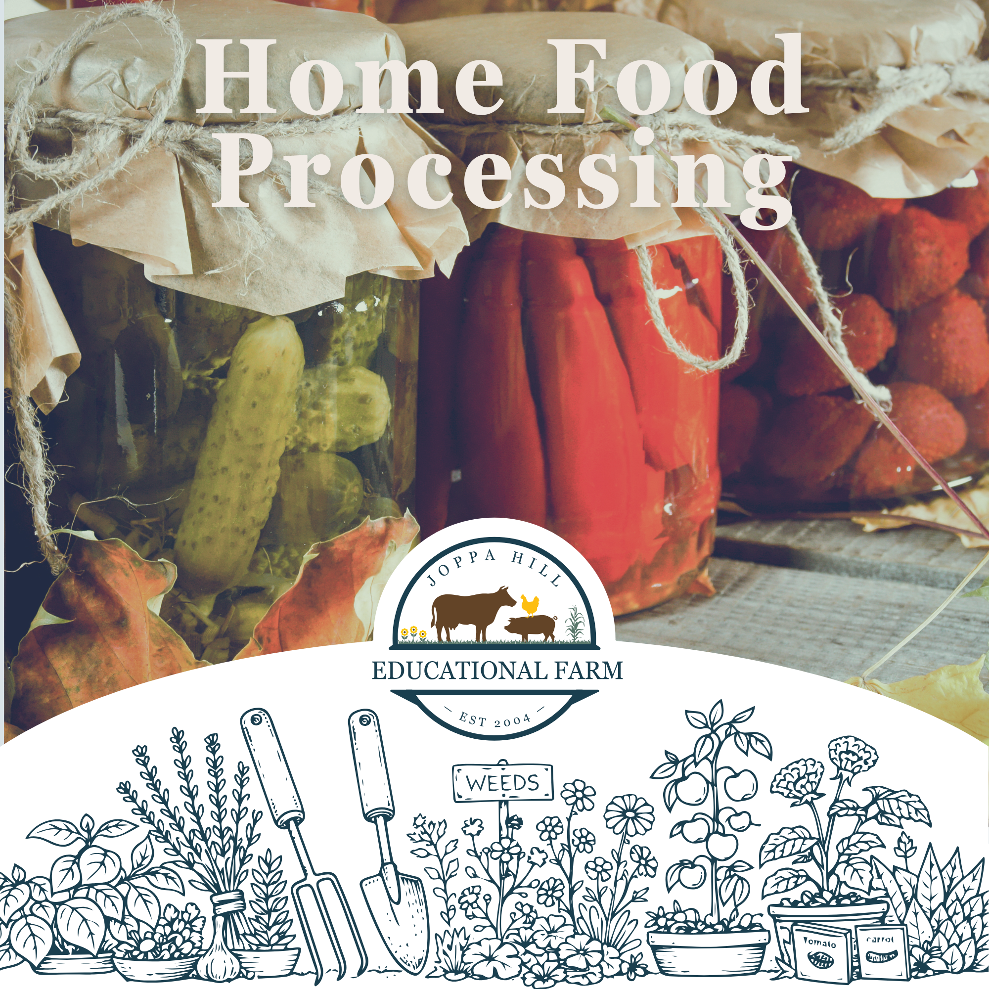 valentines-day-birdseed-hangers